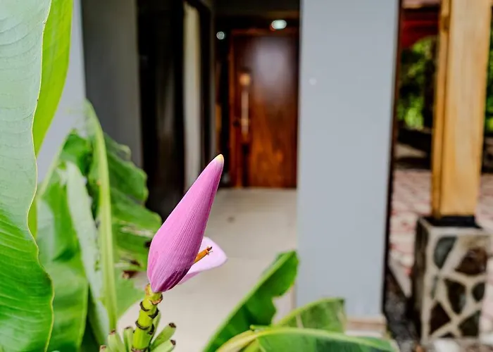 Cloud Forest House Monteverdes