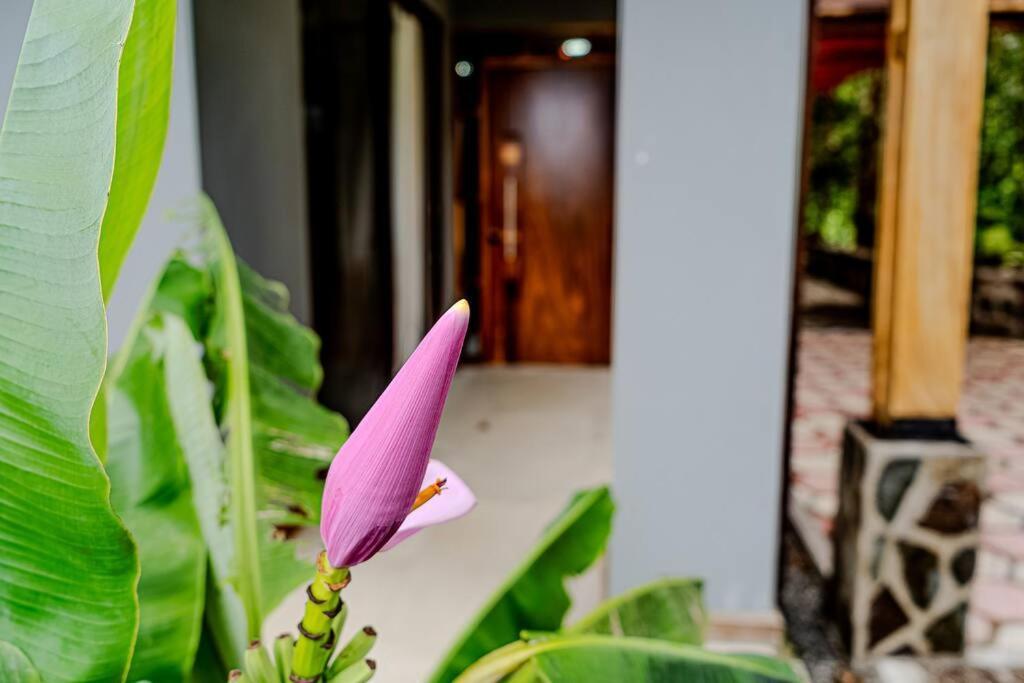 Cloud Forest House Monteverdes Apartment *